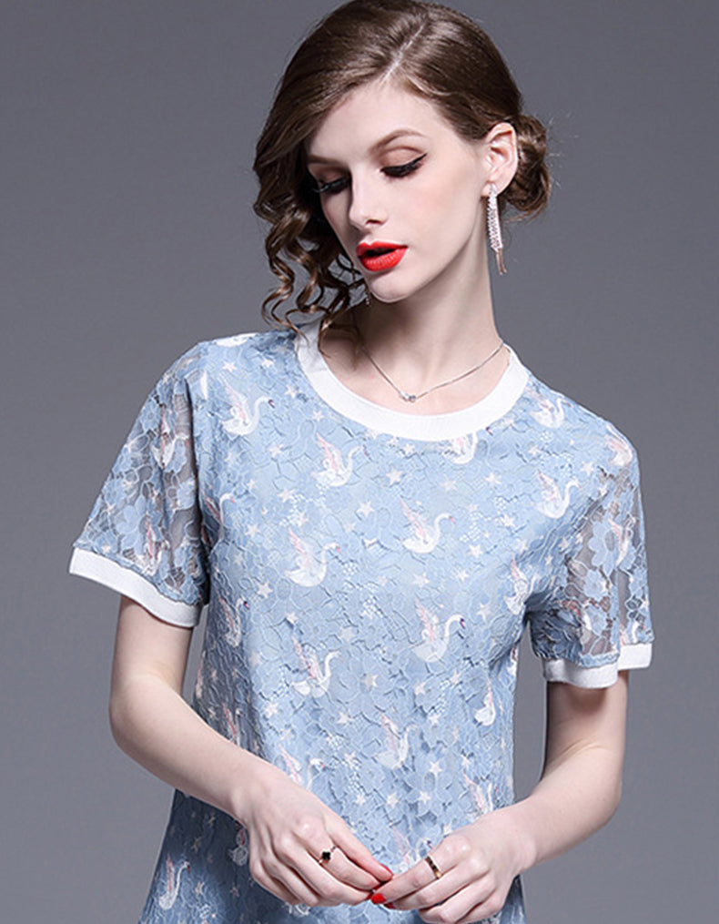 Swan Lake Dress